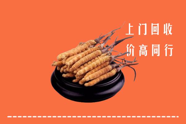 高价求购：大邑县回收散虫草